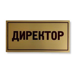 Металева табличка на двері ДИРЕКТОР, розмір 200х100 мм TAB007 фото