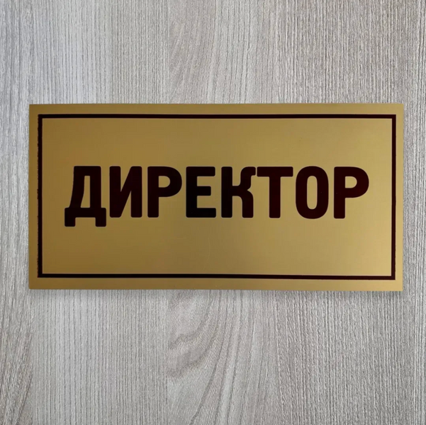 Металева табличка на двері ДИРЕКТОР, розмір 200х100 мм TAB007 фото