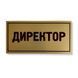 Металева табличка на двері ДИРЕКТОР, розмір 200х100 мм TAB007 фото 1